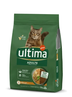 Nourriture pour chat: découvrez nos produits