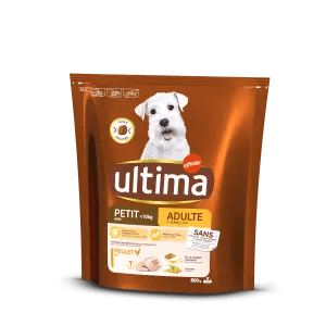 Petit Adulte avec du Poulet