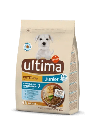 Petit Junior avec du Poulet