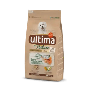 Ultima Nature Small Adult with Salmon