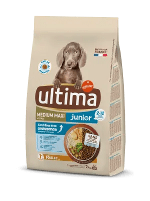 Medium-Maxi Junior avec du Poulet
