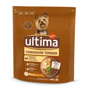 Petit Yorkshire Terrier amb Pollastre