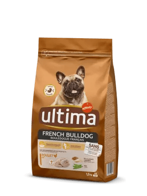 Mini French Bulldog com Frango