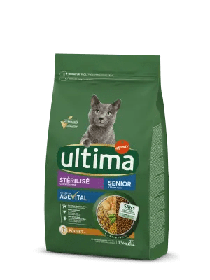 Chat Sterilise Soins Et Conseils Ultima