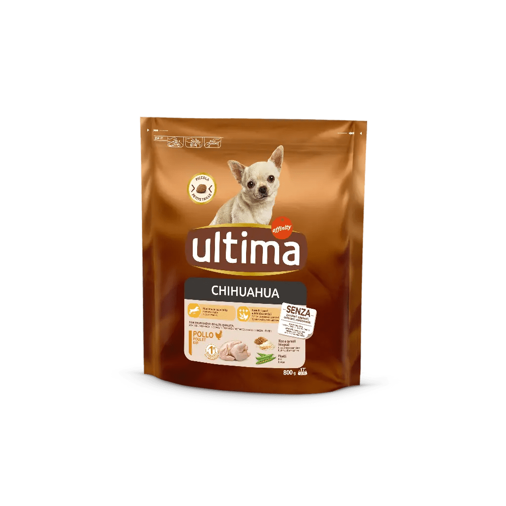 Ultima from Affinity, Dog