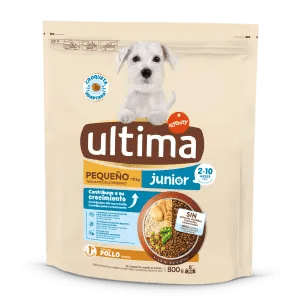 Small Junior with Chicken