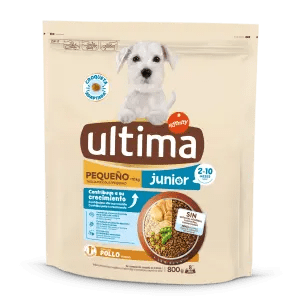 Taglia Piccola Junior con Pollo