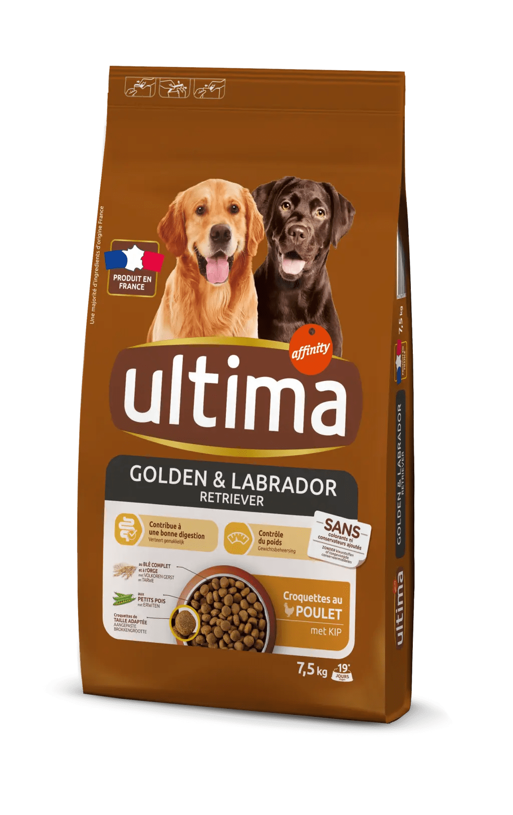 Medium-Maxi Golden & Labrador con Pollo