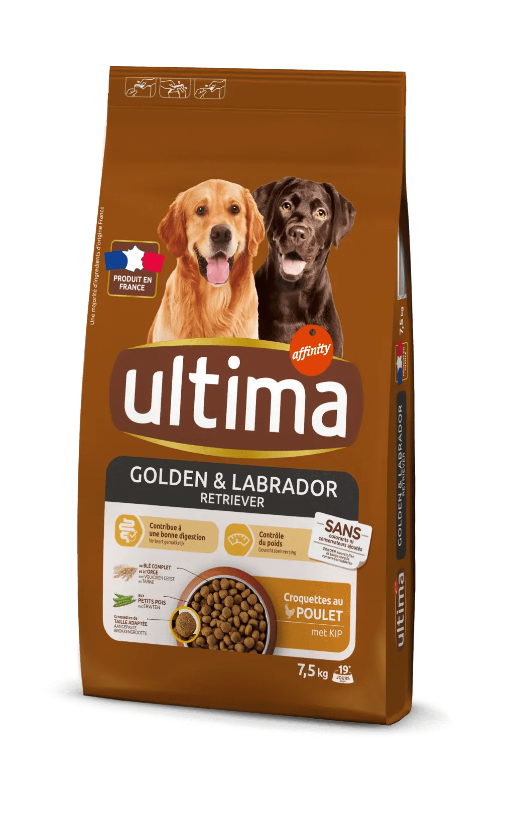 Medium-Maxi Golden & Labrador avec du Poulet