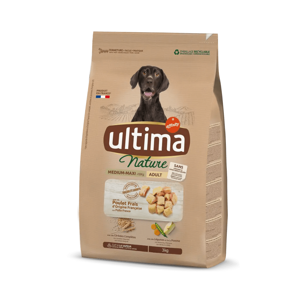 Ultima from Affinity, Dog