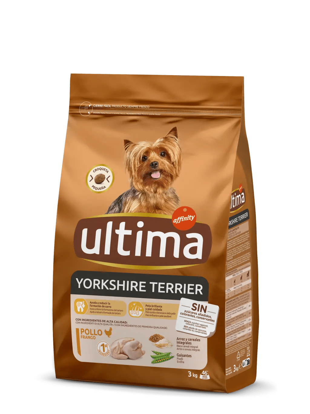 Pequeño Yorkshire Terrier con Pollo