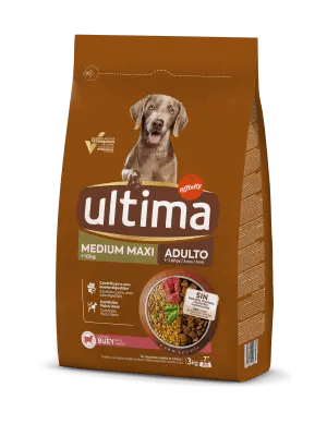 Medium-Maxi Adult with Beef