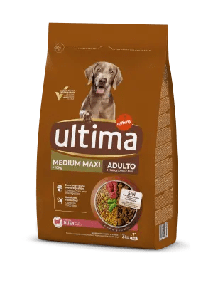 Nutrición para perros pequeños