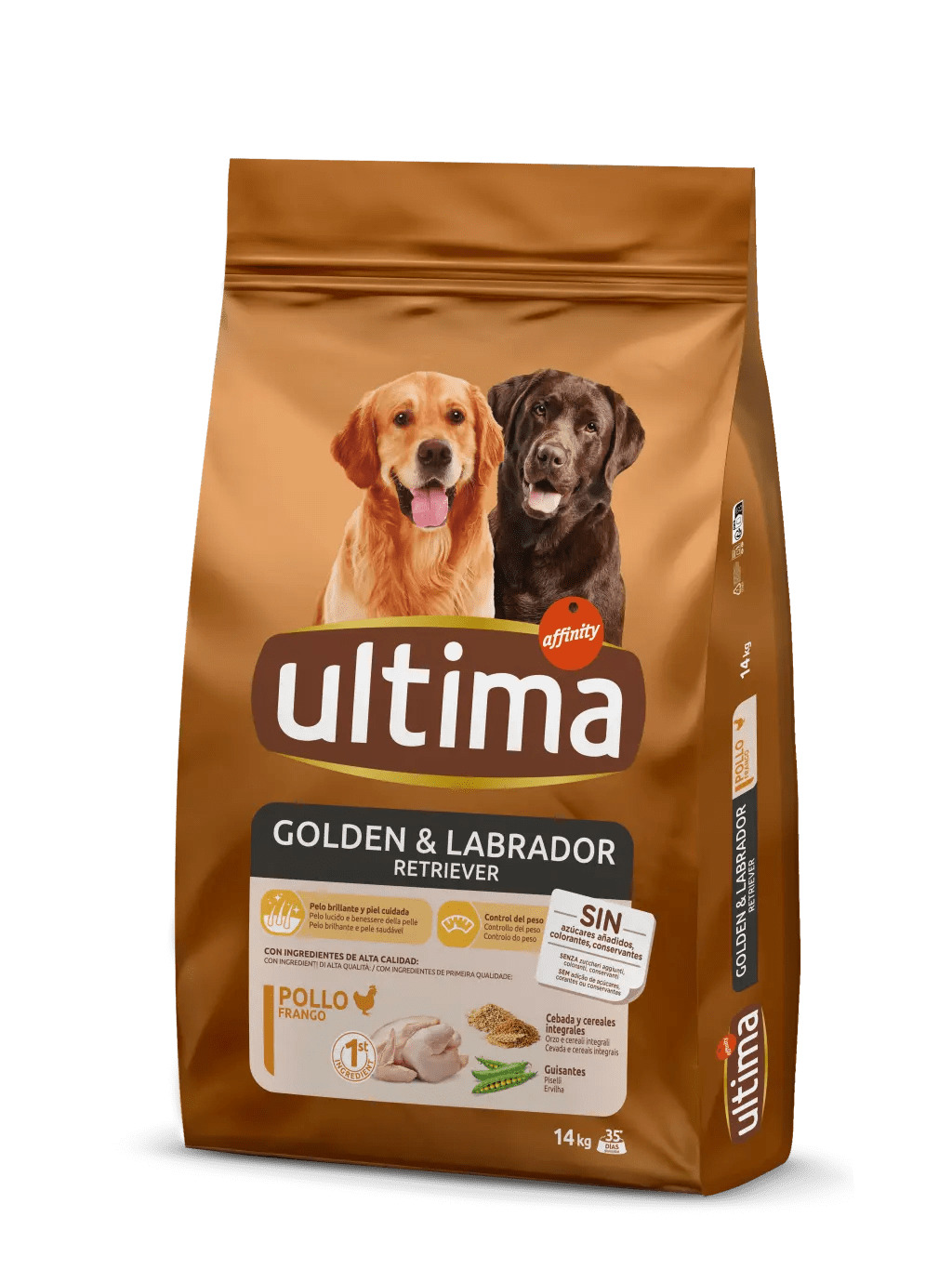 Medium-Maxi Golden & Labrador com Frango