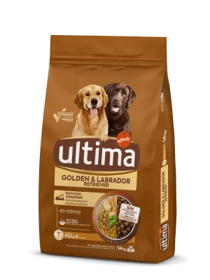 Medium-Maxi Golden & Labrador com Frango