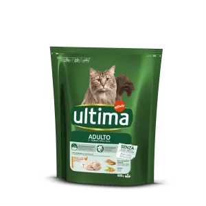 Adulto con Pollo