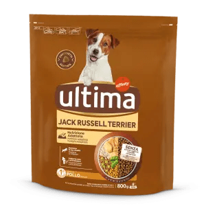 Taglia Piccola Jack Russell con Pollo