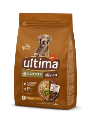 Medium-Maxi Adulto con Pollo