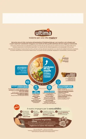 Medium-Maxi Junior con Pollo