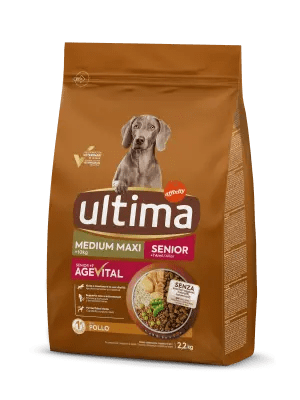 Medium-Maxi Senior con Pollo