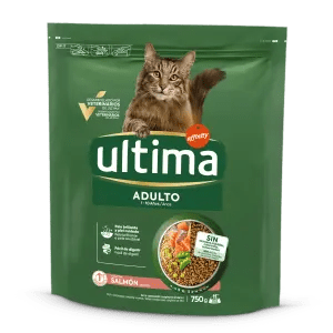 Adult amb Salmó