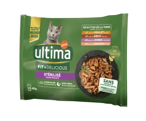 Fit & Delicious with Meat