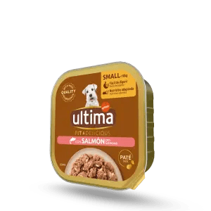 Fit & Delicious Paté Pequeño Adult con Salmón