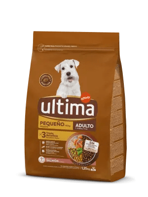 Pequeno Adulto com Salmão
