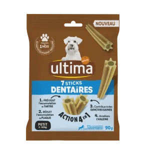 Small Adult Dental Sticks