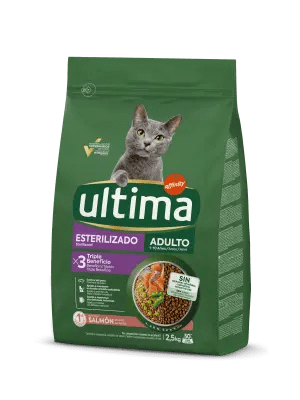 Esterilizado Adulto com Salmão