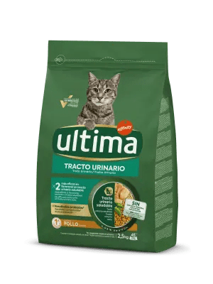 Urinary Tract with Chicken