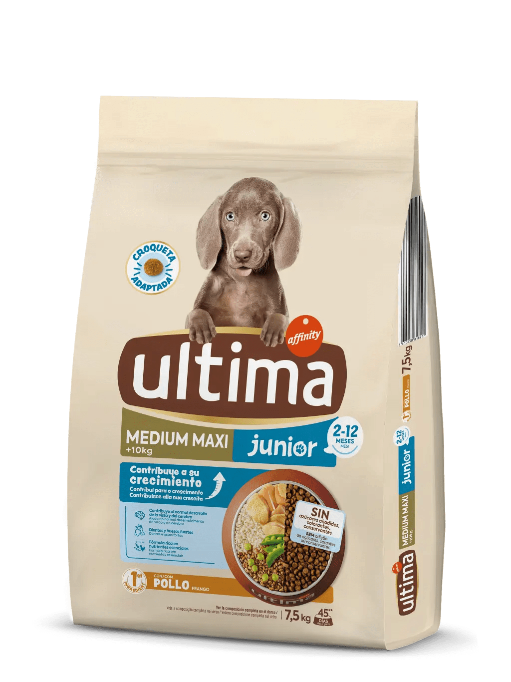 Medium-Maxi Junior with Chicken