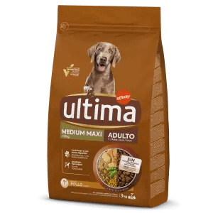 Pienso para perros: descubre nuestros productos