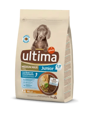 Medium-Maxi Junior with Chicken