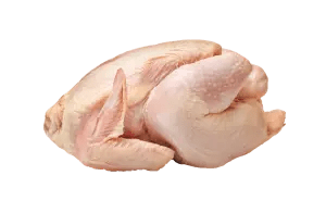 With chicken