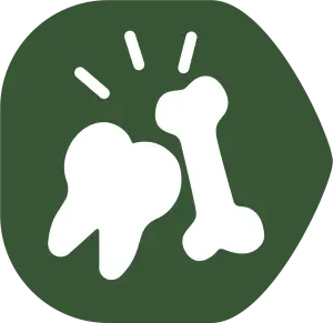 Des dents et des os solides