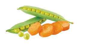With vegetables