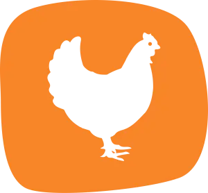 95% chicken and porc