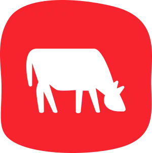 95% beef and porc