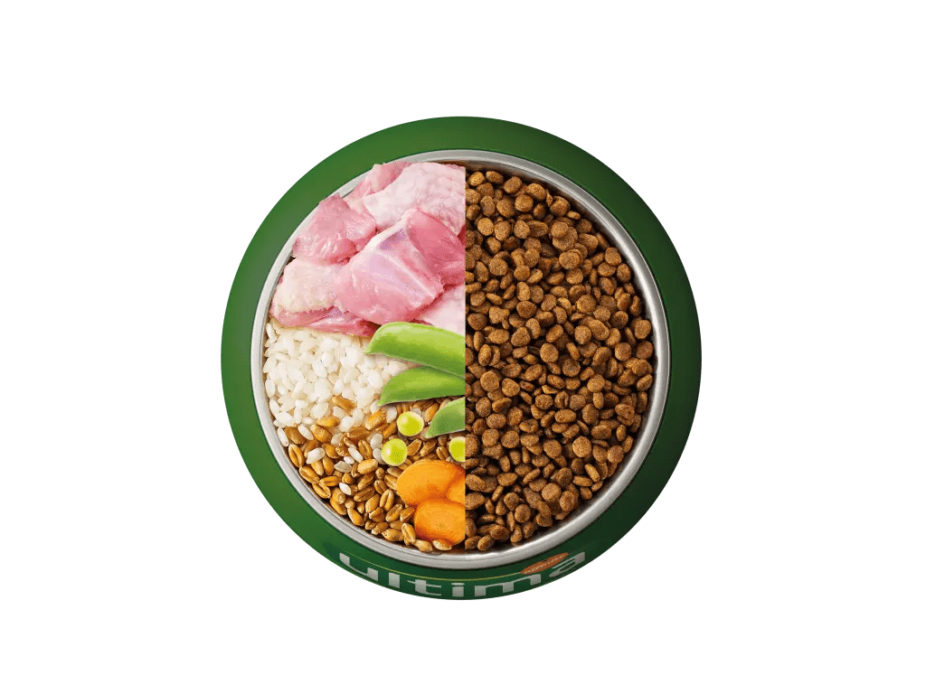 Pavo, arroz, cereales integrales y verduras