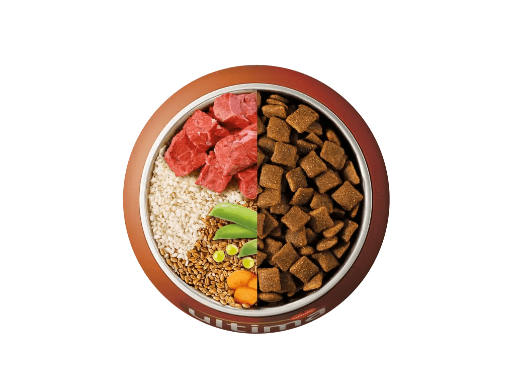 Buey, arroz, cereales integrales y verduras