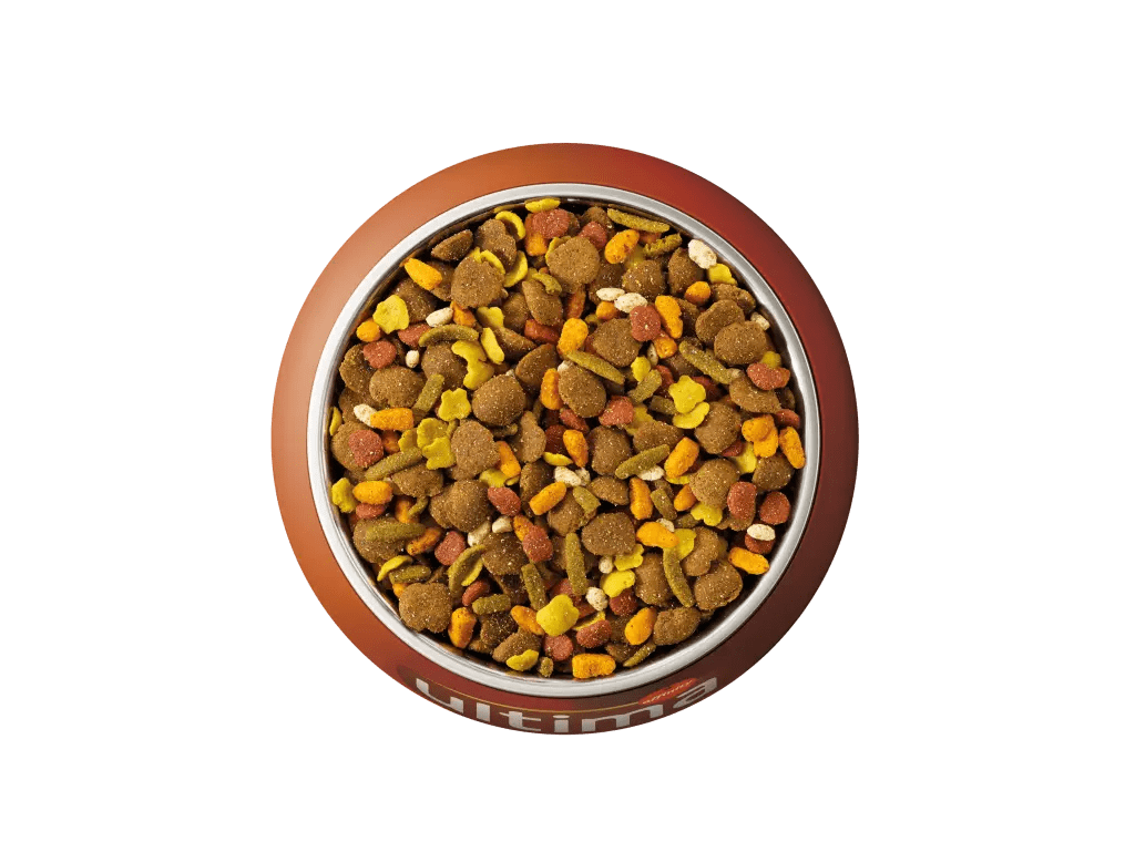 Au poulet, aux céréales complètes, aux carottes, aux haricots verts et au riz