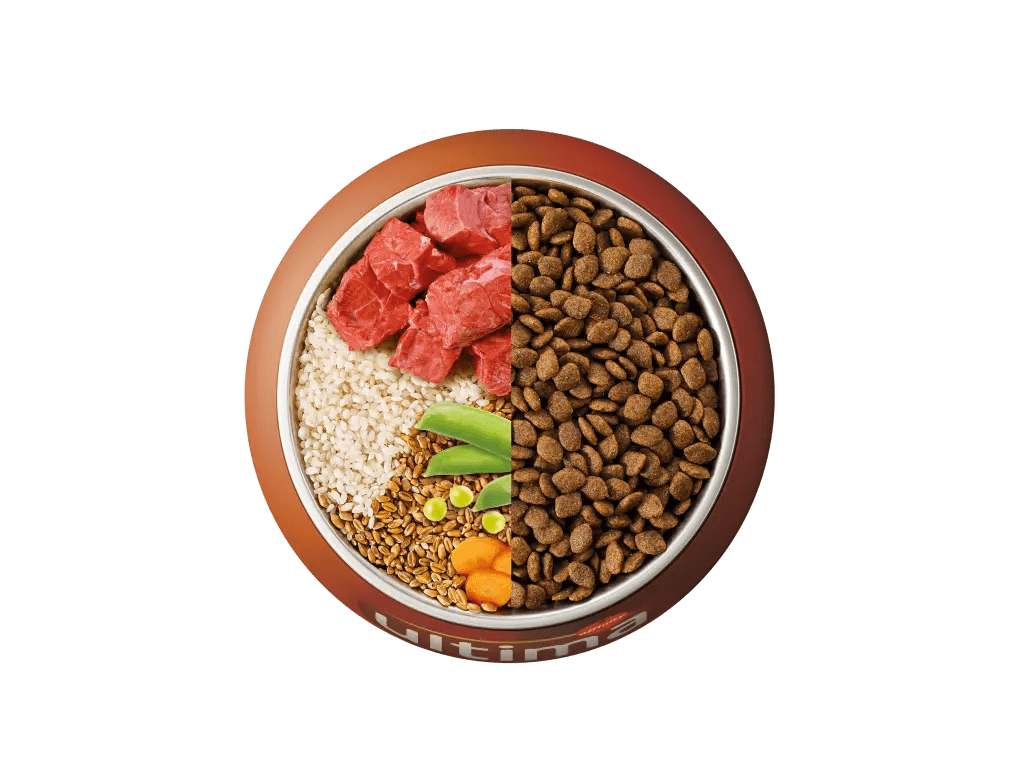 Beef, rice, wholegrain cereals and vegetables