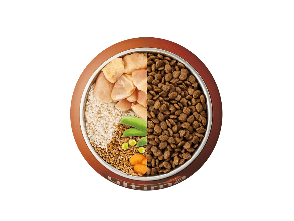 Frango, arroz, cereais integrais e legumes
