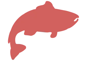 Amb salmó