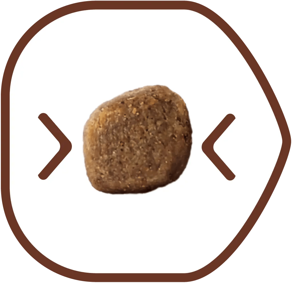 Croquette de petite taille