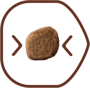 Small kibble size