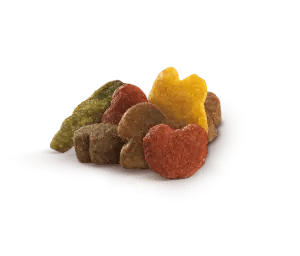 Multi Croquettes