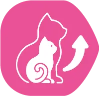 Contribuye al correcto crecimiento del gatito