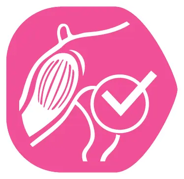 Contribuye al correcto desarrollo de la masa muscular